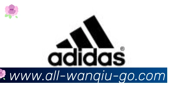 玩球直播合作伙伴